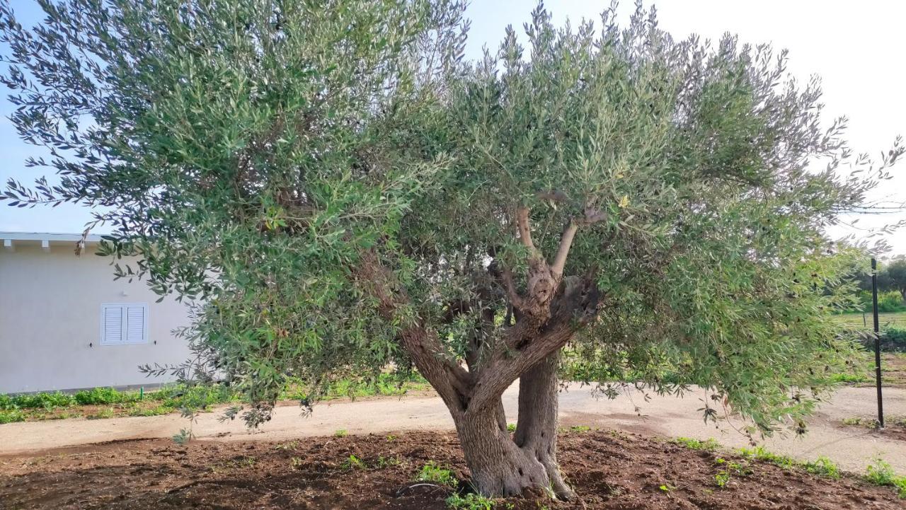 Le Zagare Di Vendicari Lido di Noto Exterior foto